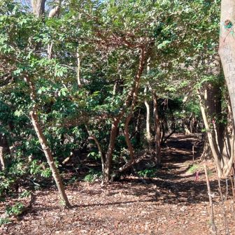 向こうが朝倉山方面。ですが今日はここでピストンです。