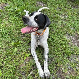 哲平のかあちゃん