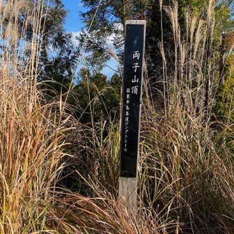 戻って両子山。