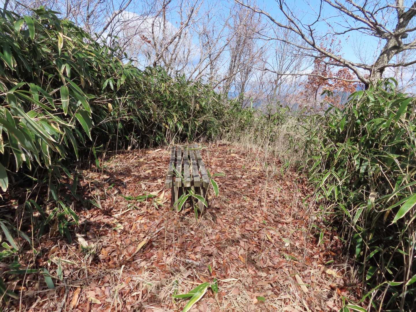城が岳山頂。朽ちたベンチがひとつ