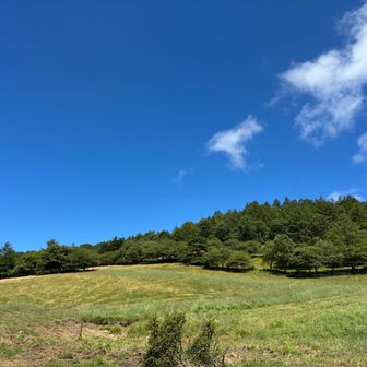 入笠山の頂上方面
