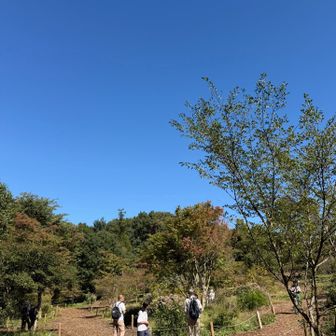 アサギマダラ撮影隊