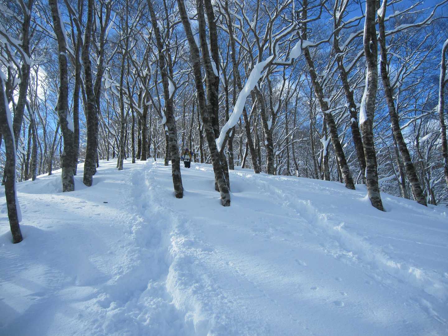 下山しまーす