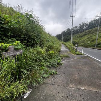 しばらく道路歩いて柏木山登山口。