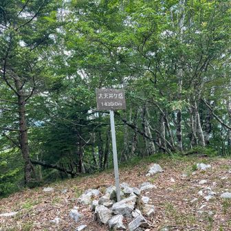 山頂に…眺望は無いです。

吉野から来た二人組が…　今日は小笹ノ宿までとのこと…健脚。