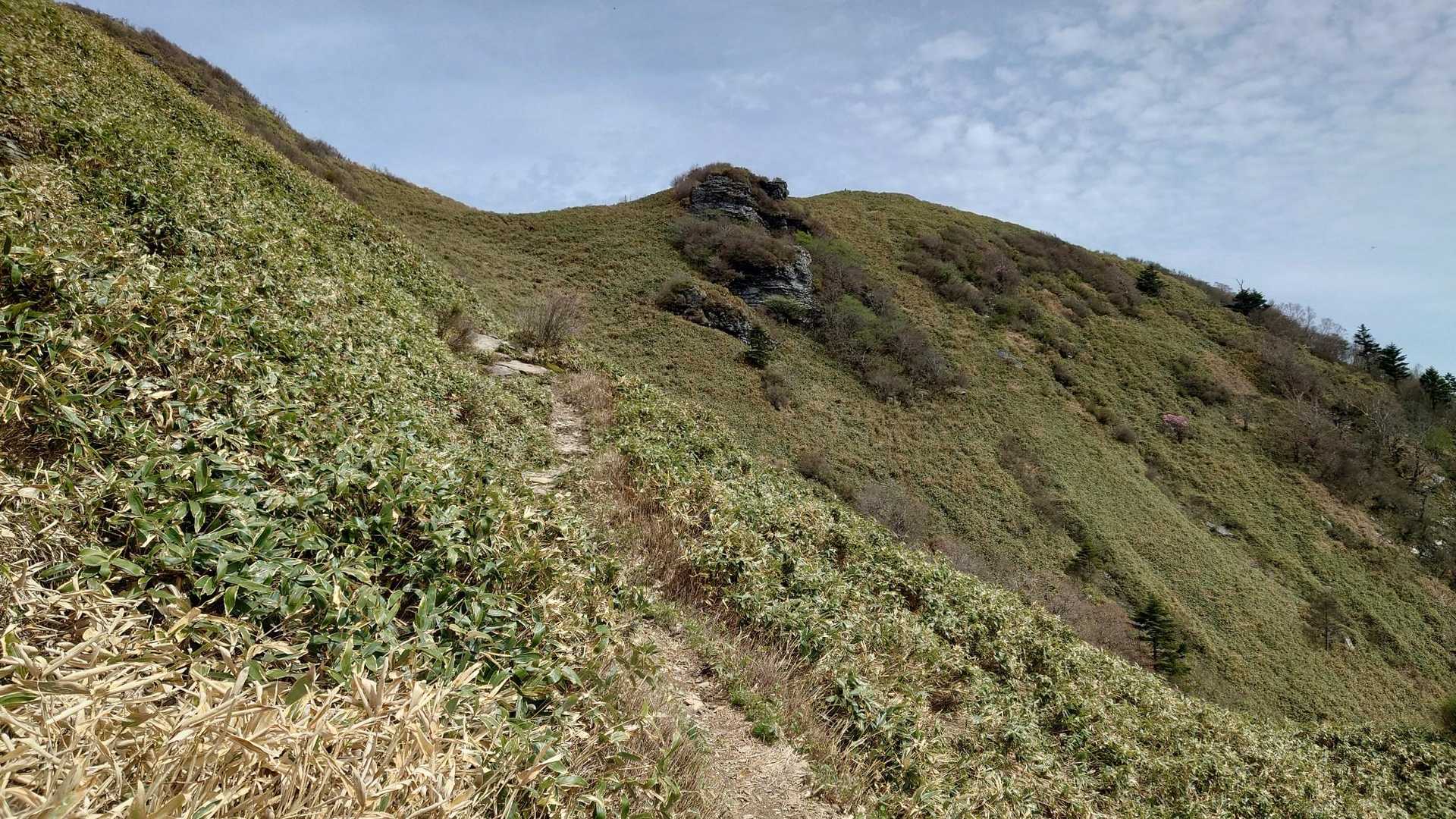 旧寒風山トンネル南口-桑瀬峠-寒風山-笹ヶ峰-笹ヶ峰南登山 縦走コースの写真