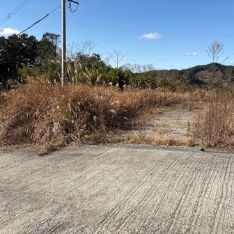 ここを進んでみる