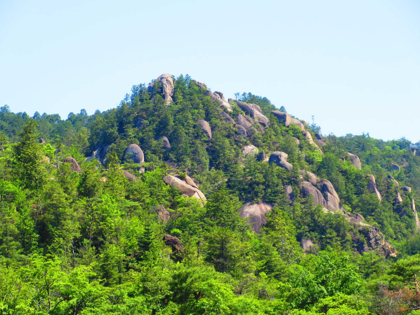 上桐生登山口-白石峰 周回コースの写真