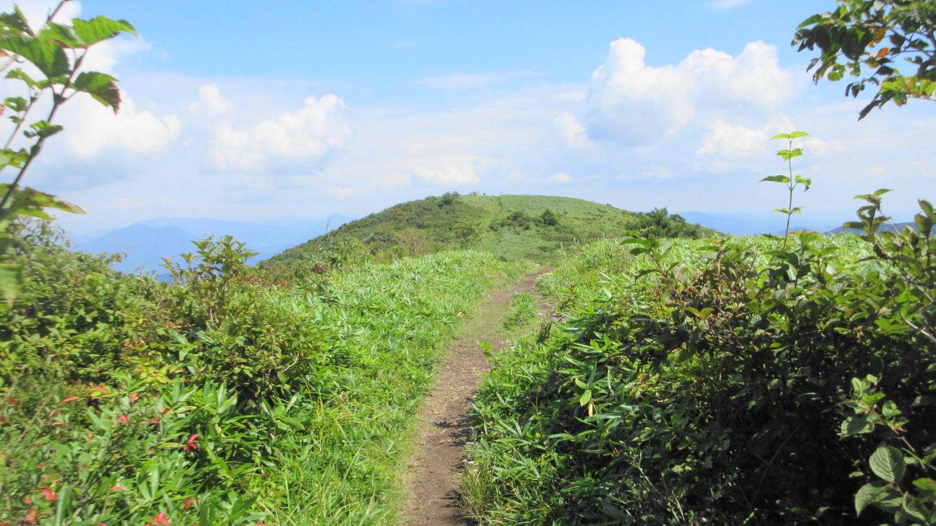 登り返し