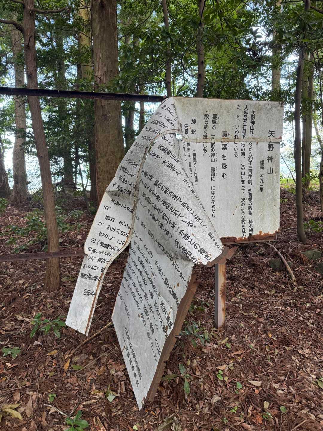 続き…🫡