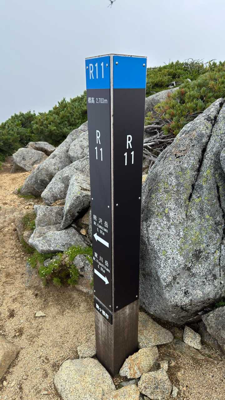 R11