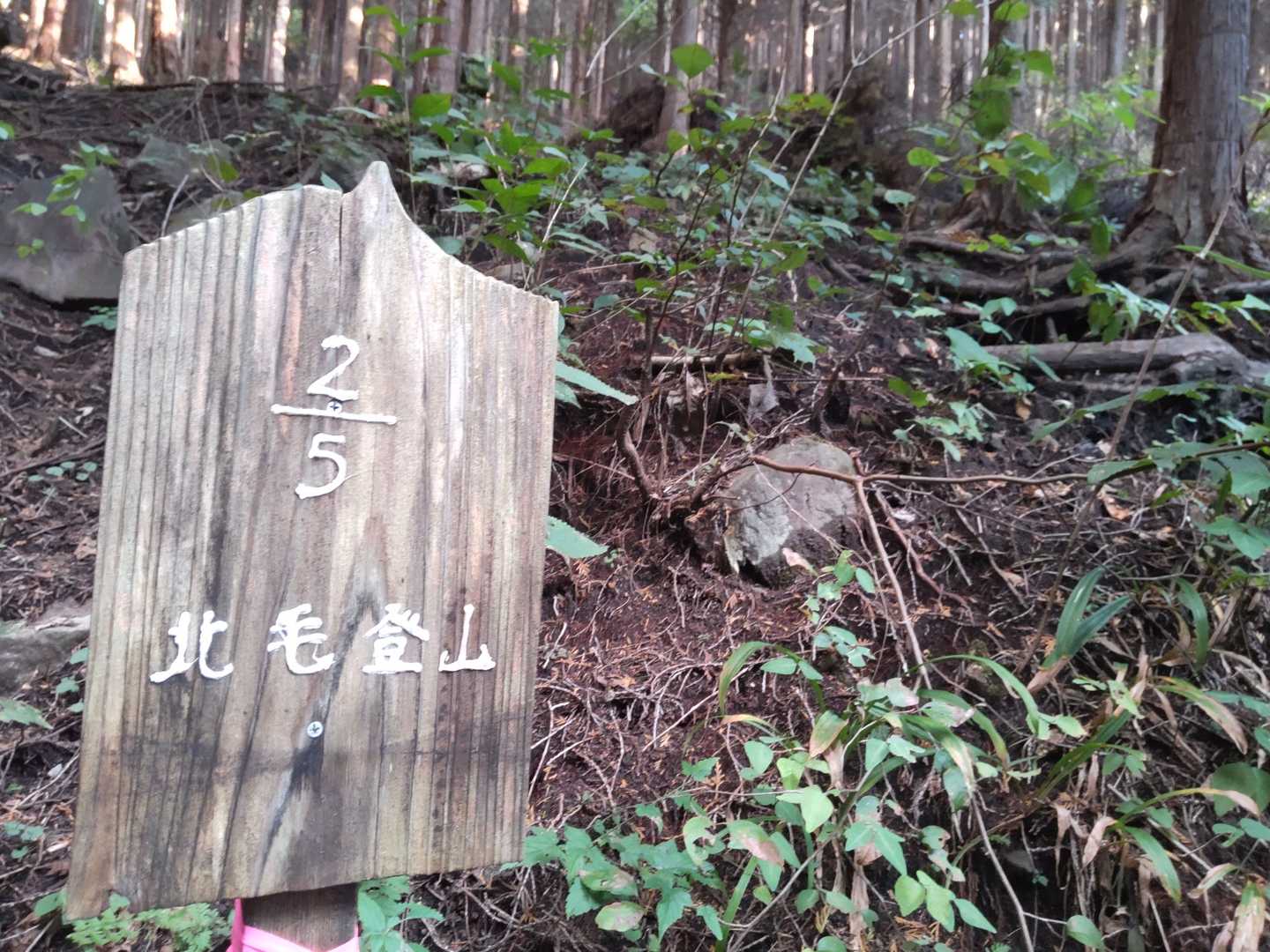 北毛登山🍀
