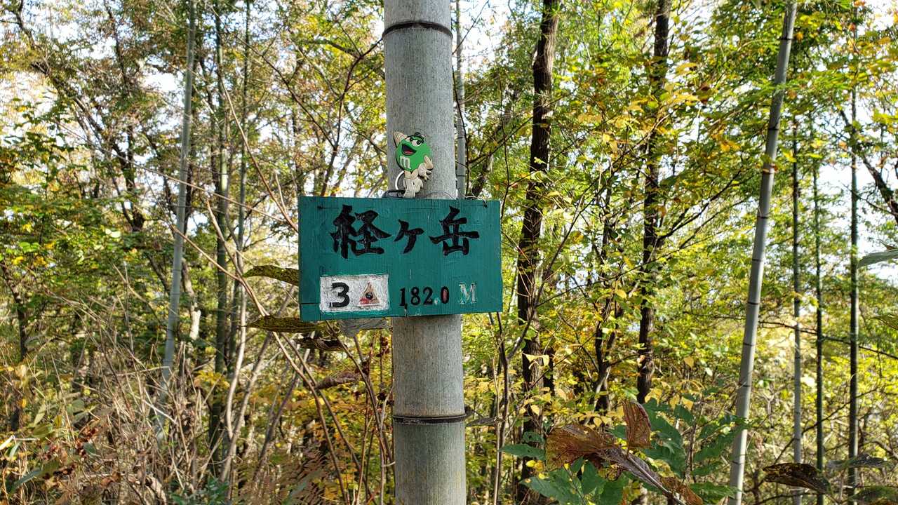 到着登頂🎌