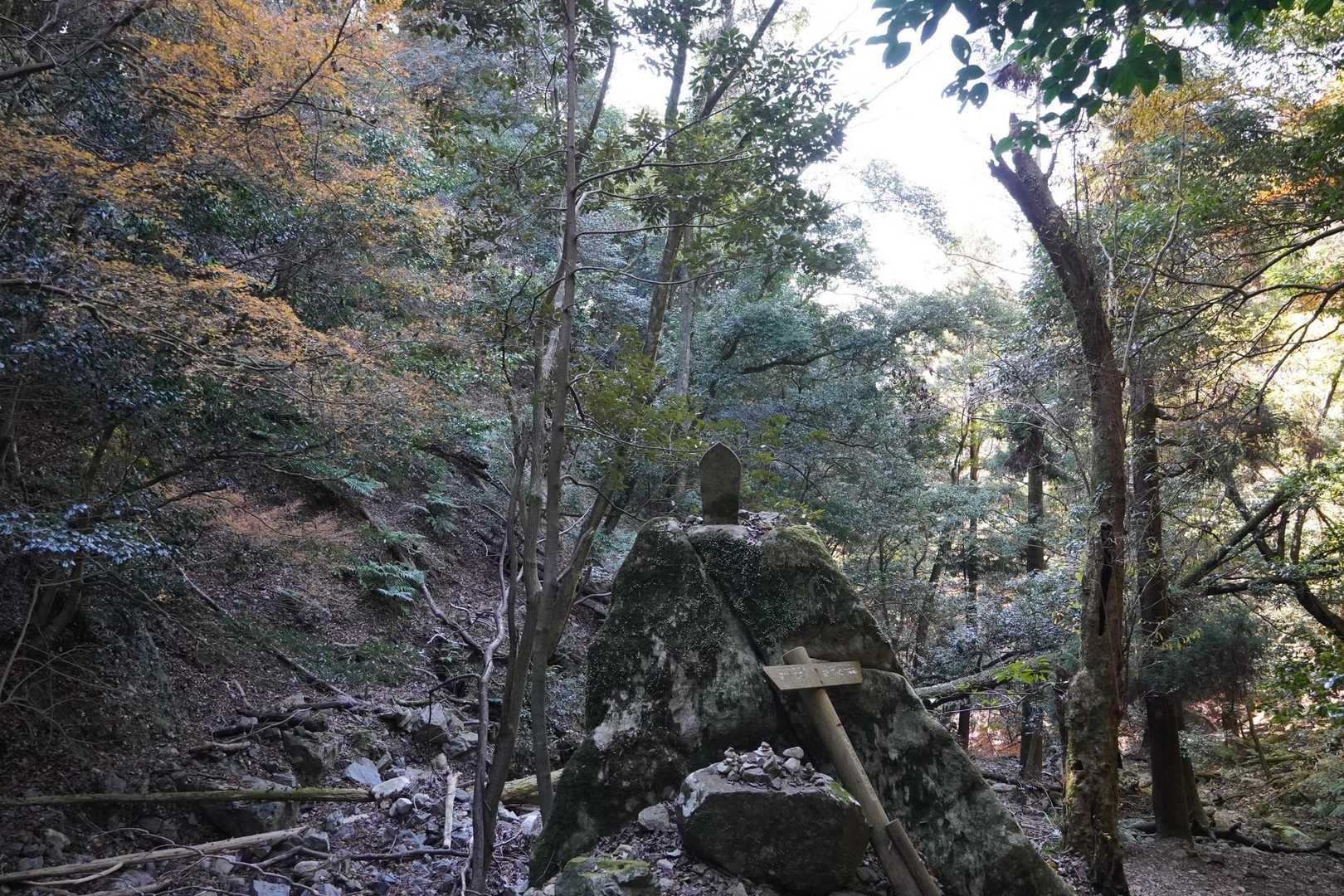 古処山 | ツゲの原始林と渓谷が魅力。運が良ければニシキキンカメムシとの出会いもの写真