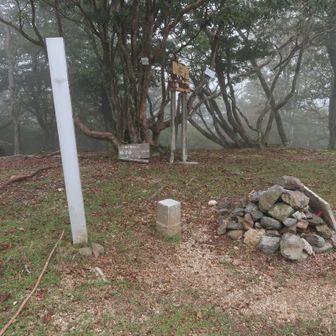 分岐から少し進むと皆子山の山頂。