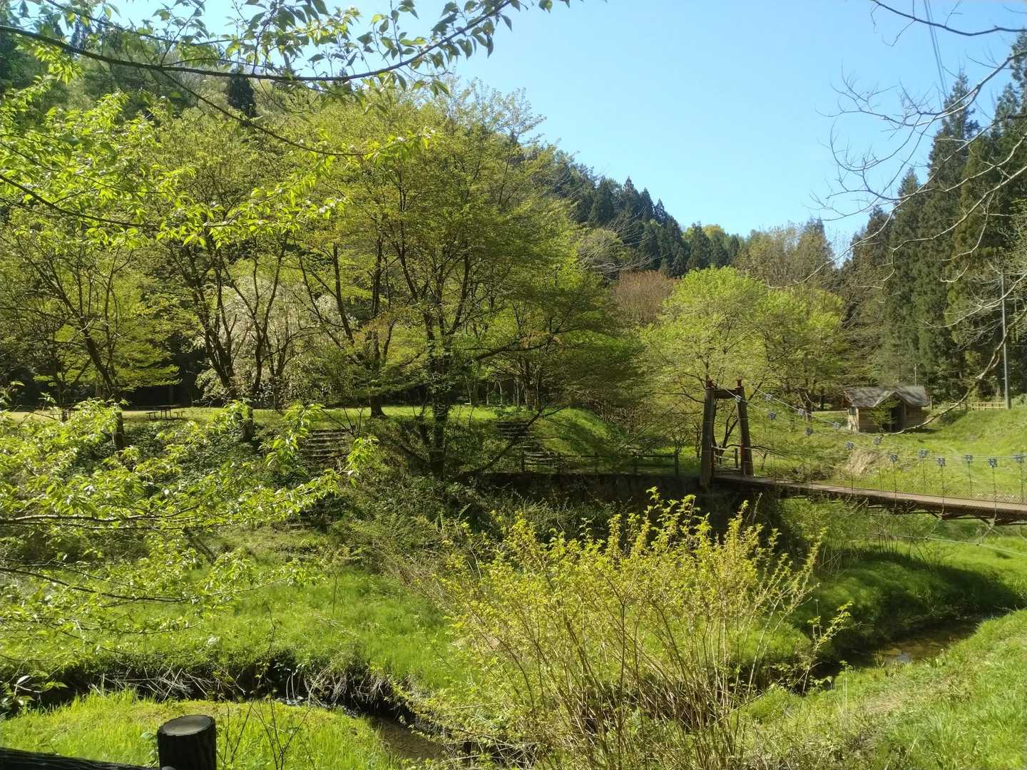 4月22日　大沢公園