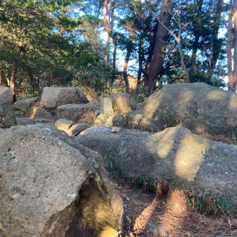 油こぶし　ジョビさんのワロックないなぁ😢