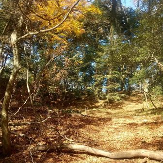 本丸天守に戻るべく踵を返す、
