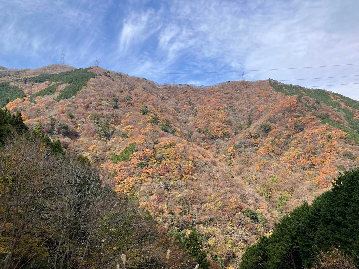 御池岳登山道コグルミ谷登山口-天ヶ平-御池岳 往復コースの写真
