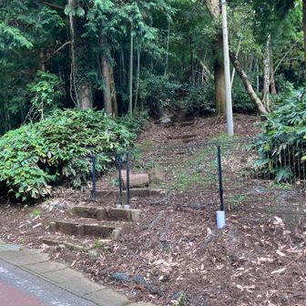 軌跡によると中央峰の登り口はここみたいですが柵があって鍵がかかっている状態。
柵の脇を抜けて行くことも出来ましたが面倒なことになったら嫌なのでパスしました。100㍍圏内に入っているためピークは登らなくてもゲット出来ます。