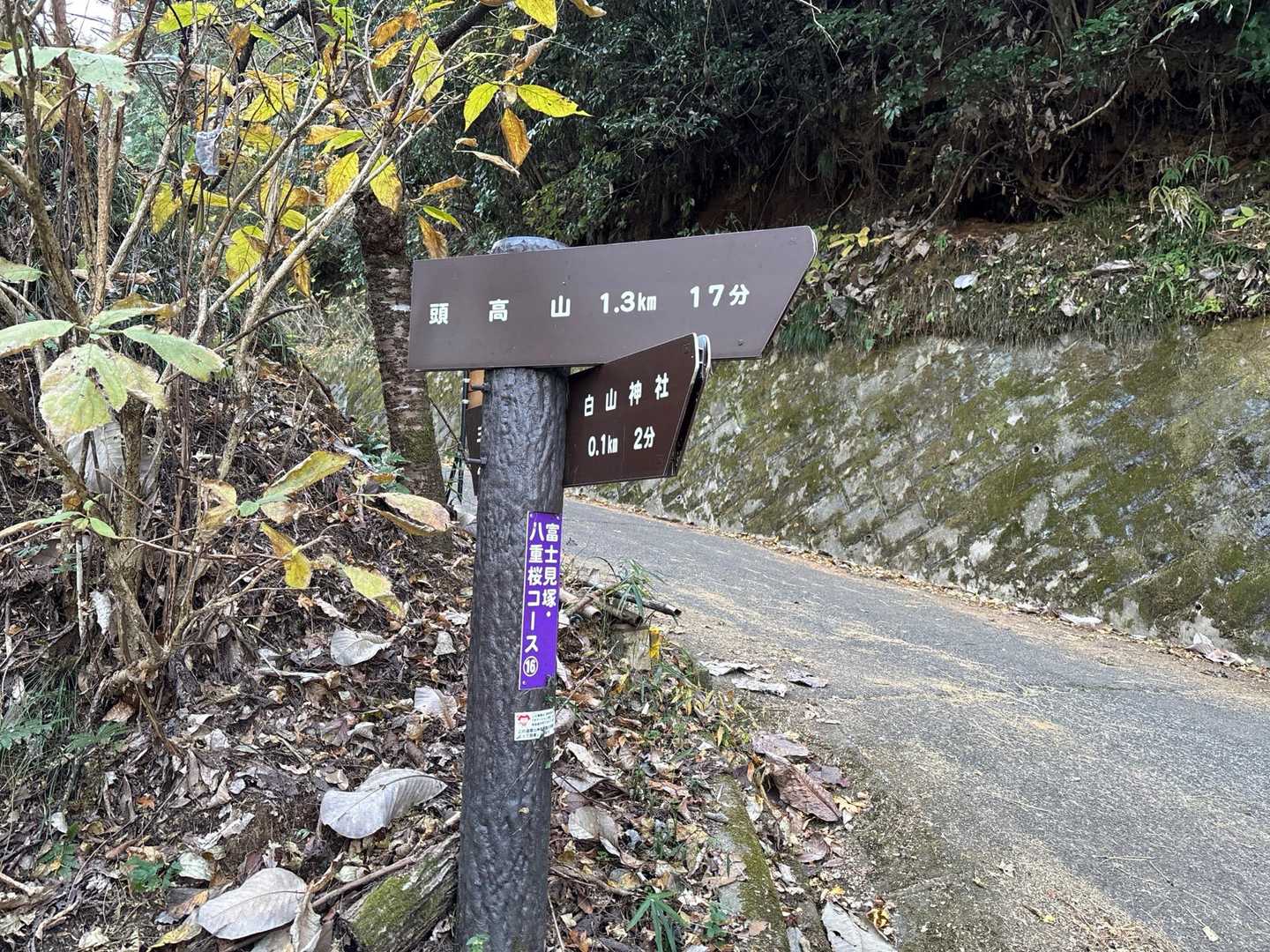頭高山まで15分ほど！