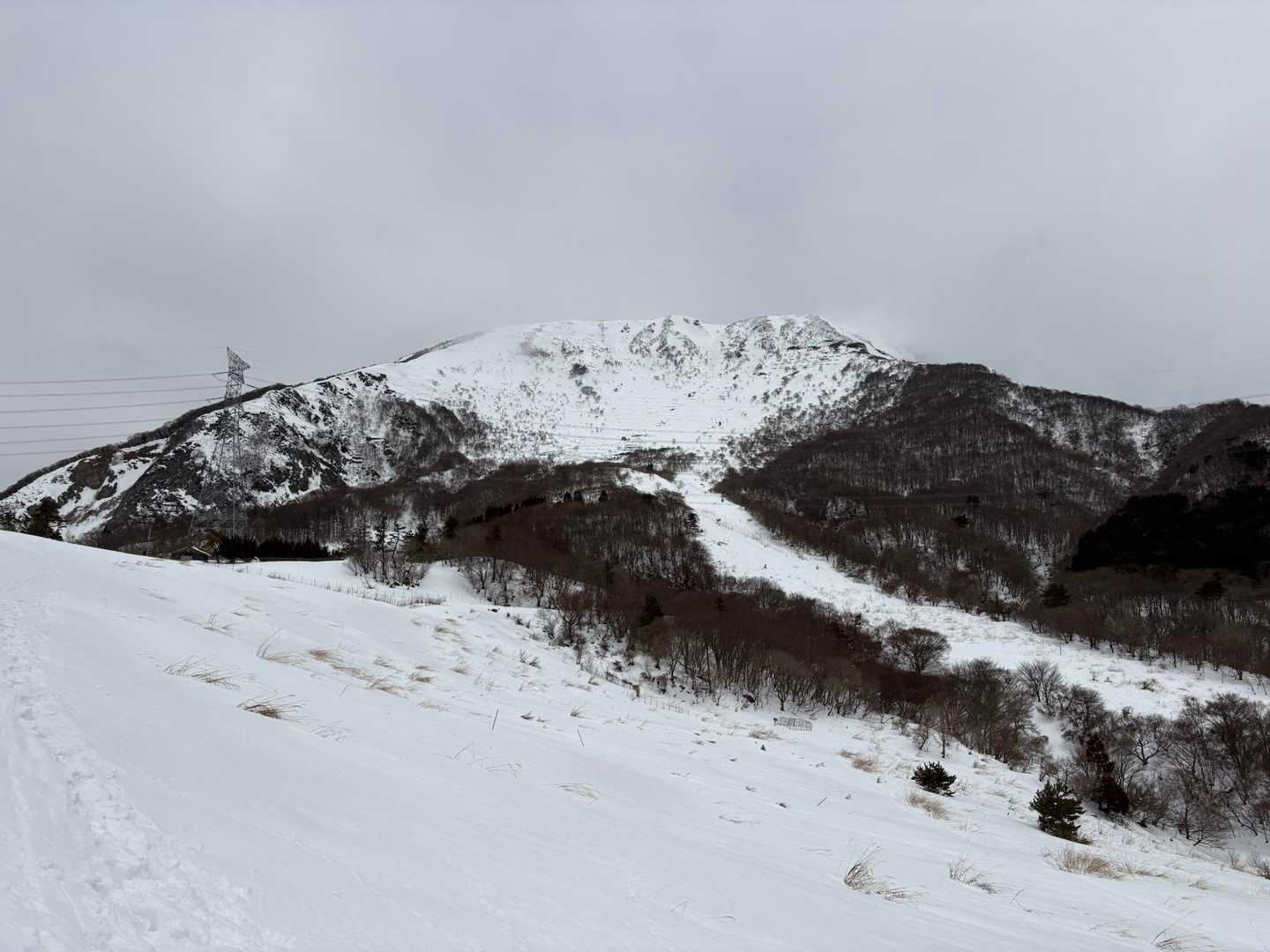 伊吹山 正面登山道（上野口コース）の写真