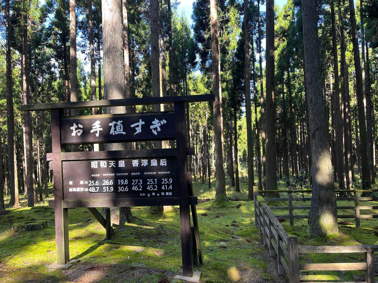 鵯山-天狗山 周回コースの写真