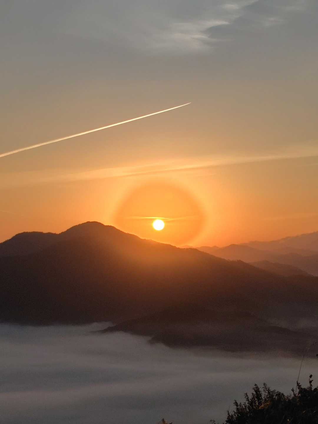 城山 往復コースの写真