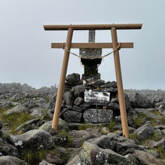 真ん中付近に鎮座する鳥居と社(ご挨拶しました！)