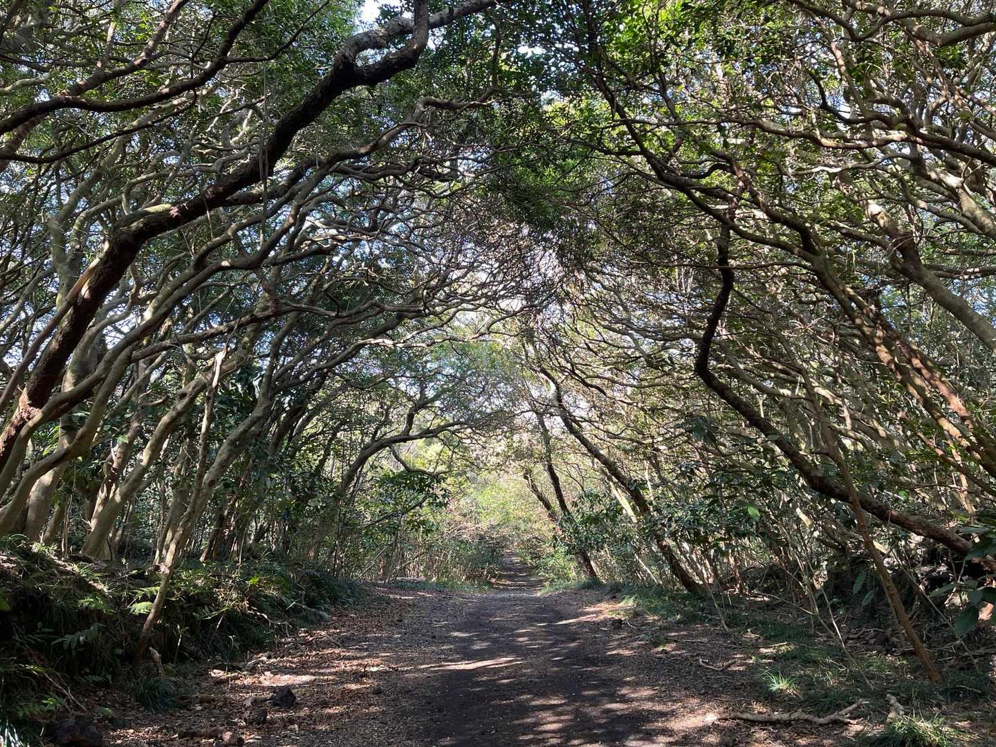 最大の癒しスポット🌲。
😗「癒されまくりです」