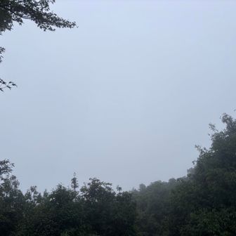 いつも岐阜城の横から岐阜市街、長良川を渡る橋がいくつもある美しい風景があるのだけれど。白い。

水とは透明なものだと思い込んでいた。水蒸気とは細かくて突き抜けるもので、危険なものではないと思っていた。ところがどうしてなの？なんも見えなーい