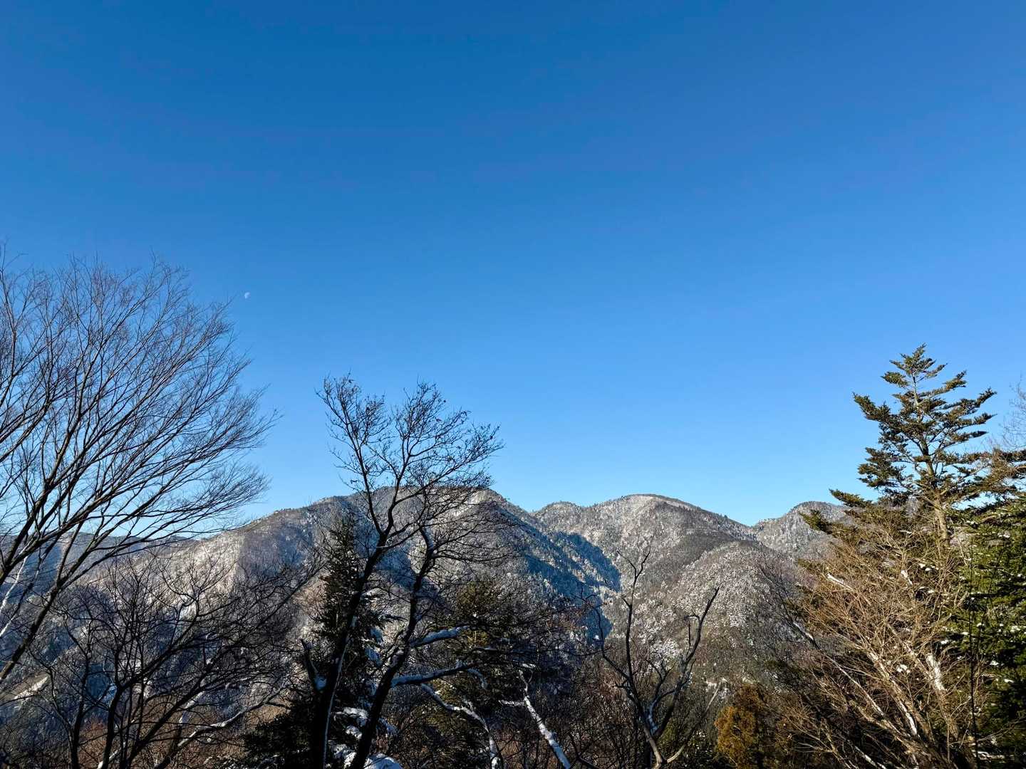 西南稜コース | 比良最高峰・武奈ヶ岳。美しいブナの森から琵琶湖の絶景パノラマへの写真