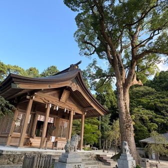夕暮れの竈門神社⛩️