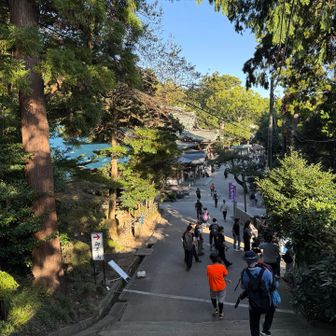 筑波山神社の境内
神社まで戻ってきました。
