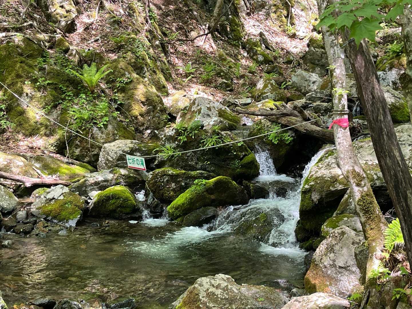え😱ここ渡るっけ？と思い確認したら得意の道間違い😅引き返します💦