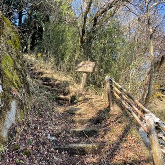 三島駅からあさイチのバスで箱根峠へ🚌

バス停から、道路を通ってトレイルへ続く軌跡があったのでそのまま入れるのかと思って行ってみましたがやはり自動車専用道路でした。
一旦道の駅箱根峠まで下って、向いのここから入ります。