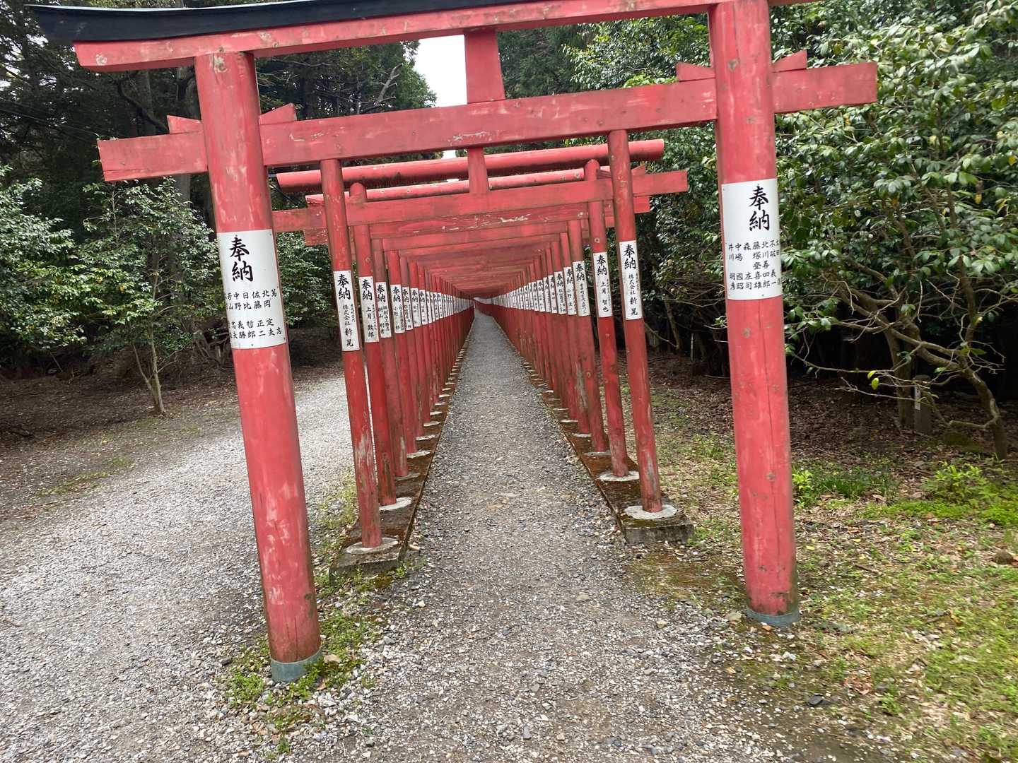 南宮大社-南宮山展望所 往復コースの写真