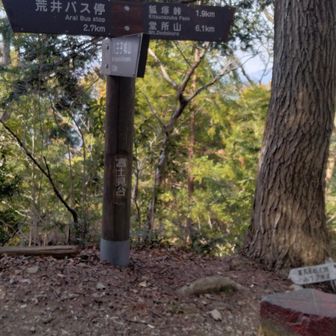 YAMAP地図の富士見台到着。
眺め無し。
右に行って杉沢ノ頭と高ドッケを往復する予定でしたが、断念しました。