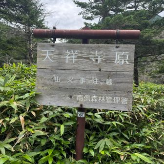 双子山への分岐、今回は断念。