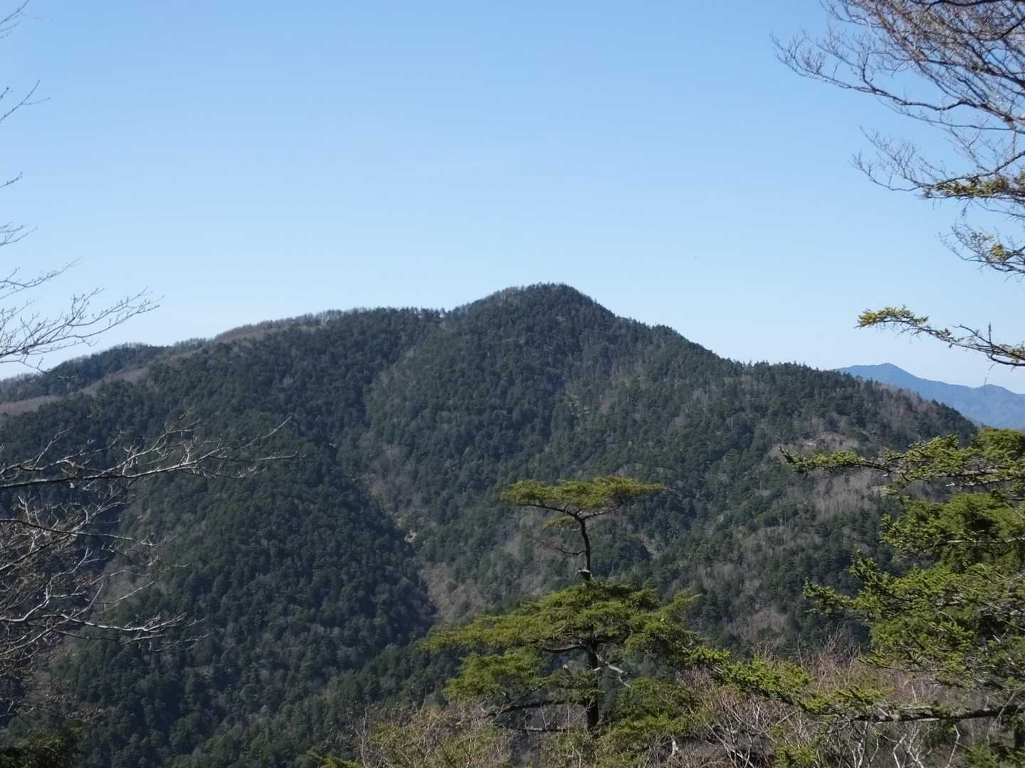 その急降下の途中、前に雲取山がばーんと現れました。目的地がいよいよ見えてきました。
