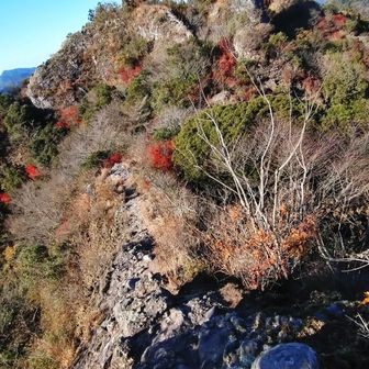 大観蜂🐝から八方岳へ