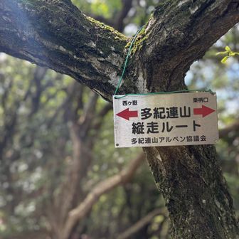 一応道標はあります