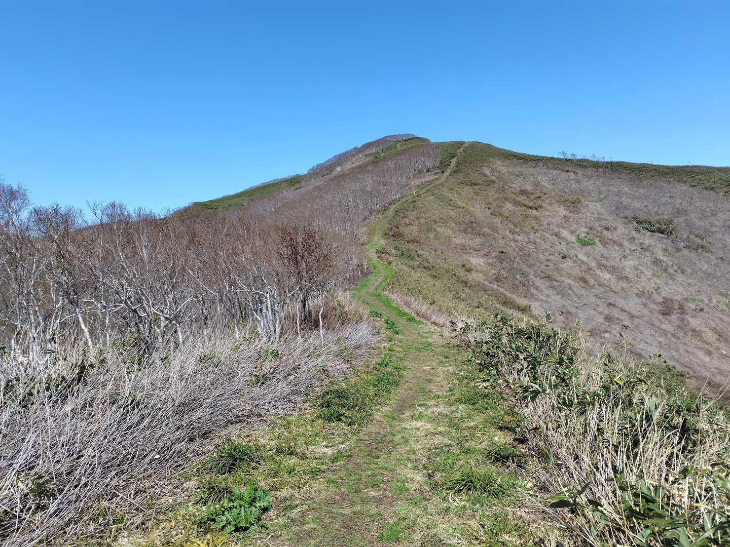 写万部山 往復コースの写真