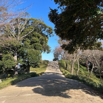 おー、前方後円墳の形ですね…