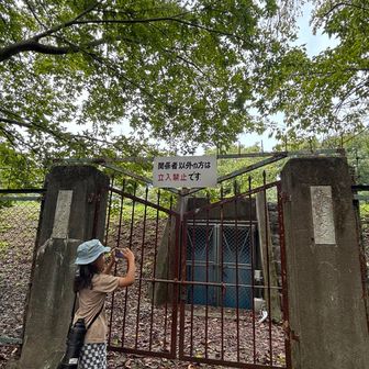 地図だとここがピークっぽい⛰️
姉のお孫ちゃん〜きゅんきゅん💞