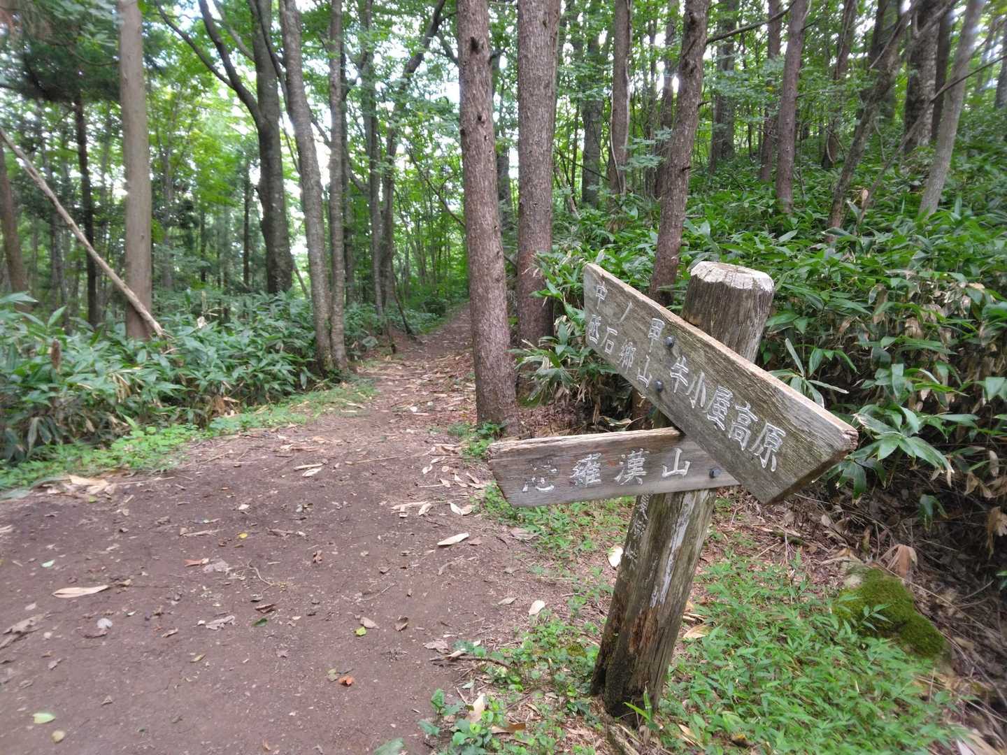 夏焼峠です。ずっと木陰なので暑くなく日焼けを気にする新婦にも良かったです。