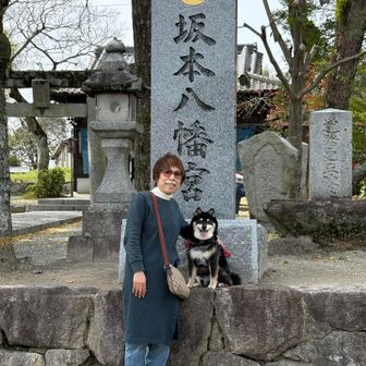 元号「令和」のゆかりの地
坂本八幡宮⛩️