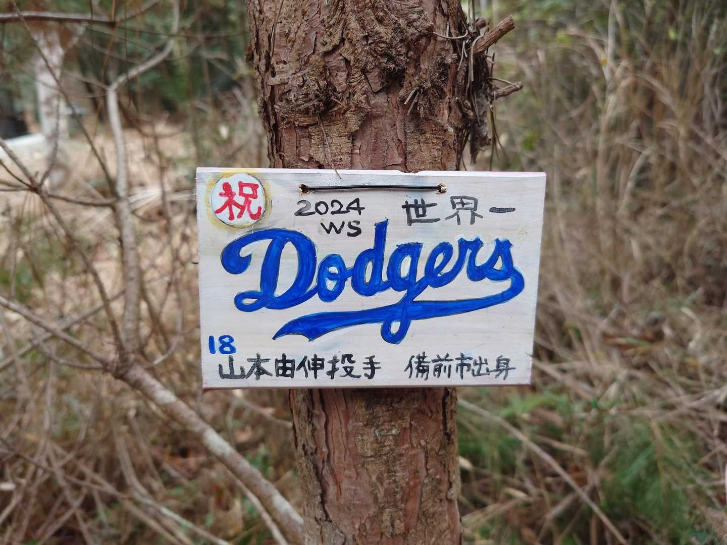 今年も期待してます⚾️