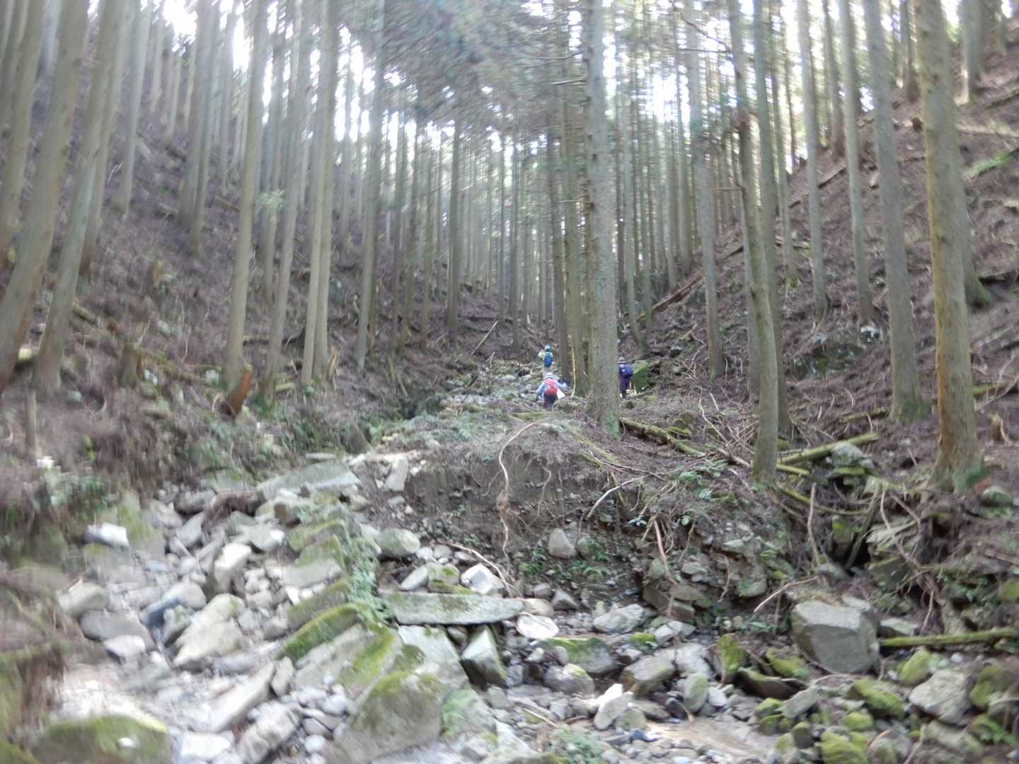 災害で崩壊したのかな？道はしっかりしています