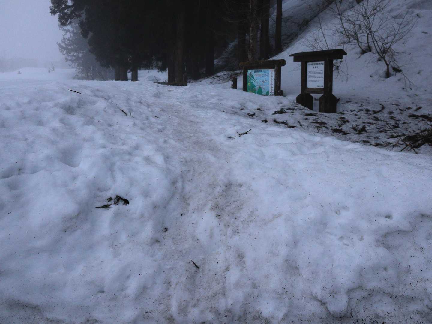 左のここからが登山道でした。
雪はガッチガチに締まっている。